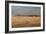 A Beautiful Landscape in Namib-Naukluft National Park, Taken from the Top of Elim Dune-Alex Saberi-Framed Photographic Print