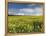 A Beautiful Spring View Showing a Rape Field Near Morston, Norfolk, England-Jon Gibbs-Framed Premier Image Canvas