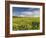 A Beautiful Spring View Showing a Rape Field Near Morston, Norfolk, England-Jon Gibbs-Framed Photographic Print