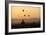 A Beautiful Sunrise over the Buddhist Temples in Bagan-Boaz Rottem-Framed Photographic Print