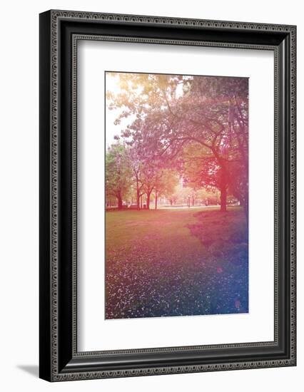 A Beautiful Tree in a Pretty Field-melking-Framed Photographic Print