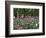 A Bed of Tulips at Luxembourg Gardens, Paris, France-William Sutton-Framed Photographic Print