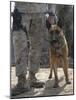 A Belgium Malonois Military Working Dog Stands by His Handler-Stocktrek Images-Mounted Photographic Print