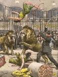 Acrobats Falls, Lion Cage-A. Beltrame-Mounted Art Print