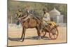 'A Benares Ekka', c1880 (1905)-Alexander Henry Hallam Murray-Mounted Giclee Print