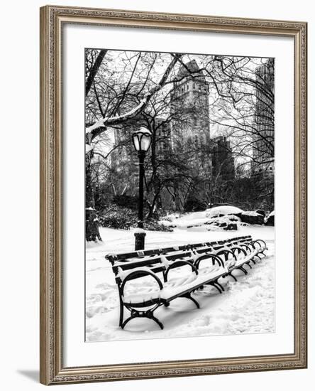 A Bench and Lamppost Snow in Central Park-Philippe Hugonnard-Framed Photographic Print