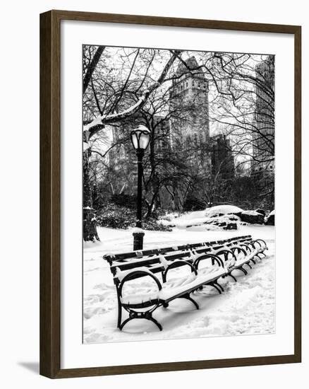 A Bench and Lamppost Snow in Central Park-Philippe Hugonnard-Framed Photographic Print