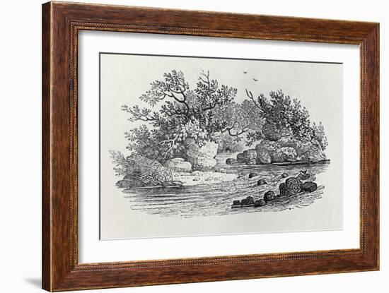 A Bend in the River from 'History of British Birds, Volume 2: Water Birds', 1804 (Woodcut)-Thomas Bewick-Framed Giclee Print