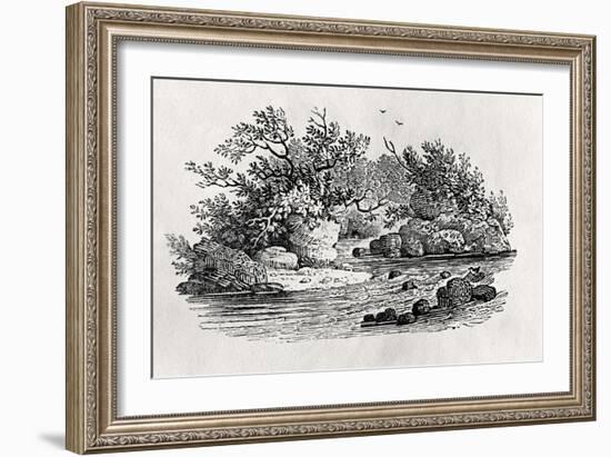 A Bend in the River, from 'Water Birds', Published 1804-Thomas Bewick-Framed Giclee Print