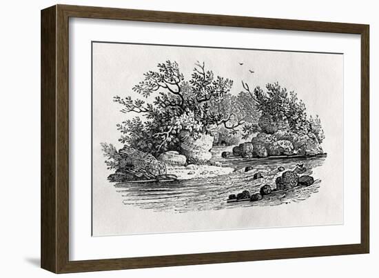 A Bend in the River, from 'Water Birds', Published 1804-Thomas Bewick-Framed Giclee Print