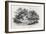 A Bend in the River, from 'Water Birds', Published 1804-Thomas Bewick-Framed Giclee Print