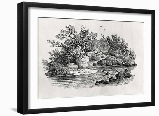 A Bend in the River, from 'Water Birds', Published 1804-Thomas Bewick-Framed Giclee Print