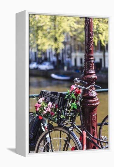 A Bicycle Decorated with Flowers by a Canal, Amsterdam, Netherlands, Europe-Amanda Hall-Framed Premier Image Canvas