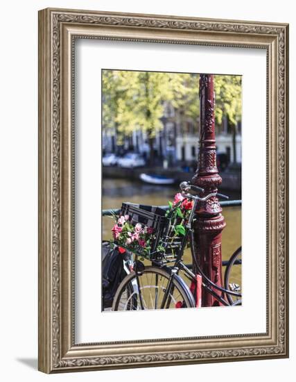 A Bicycle Decorated with Flowers by a Canal, Amsterdam, Netherlands, Europe-Amanda Hall-Framed Photographic Print