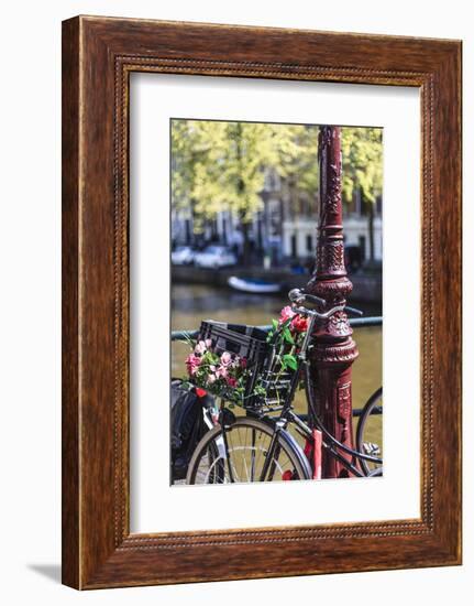 A Bicycle Decorated with Flowers by a Canal, Amsterdam, Netherlands, Europe-Amanda Hall-Framed Photographic Print