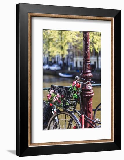 A Bicycle Decorated with Flowers by a Canal, Amsterdam, Netherlands, Europe-Amanda Hall-Framed Photographic Print