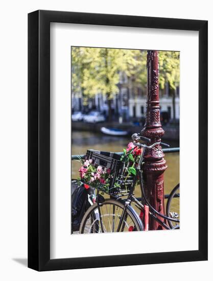 A Bicycle Decorated with Flowers by a Canal, Amsterdam, Netherlands, Europe-Amanda Hall-Framed Photographic Print