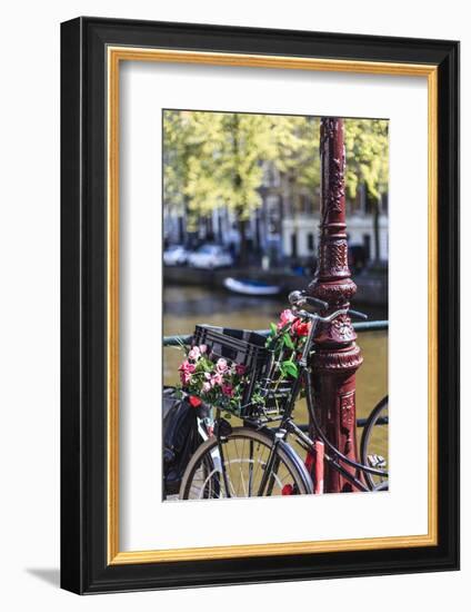 A Bicycle Decorated with Flowers by a Canal, Amsterdam, Netherlands, Europe-Amanda Hall-Framed Photographic Print