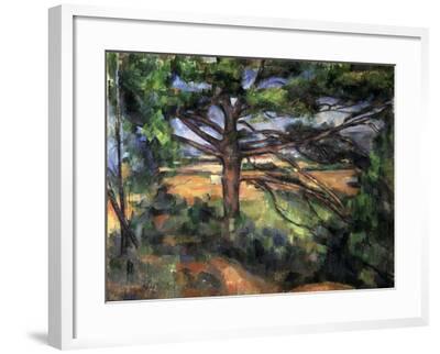 Paul Cézanne - Great Pine near Aix France, Between 1895 