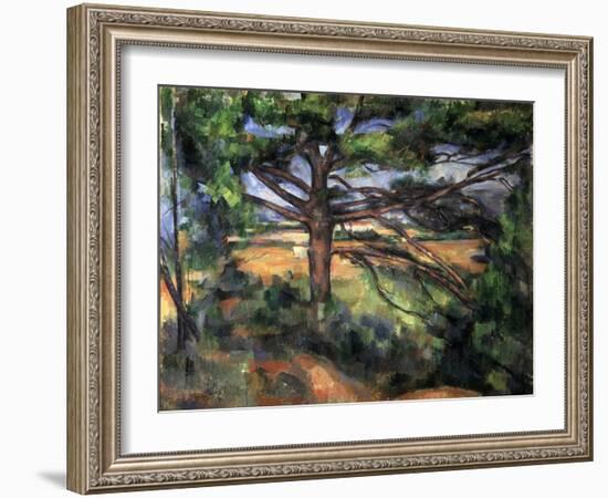 A Big Pine Tree Near Aix, 1895-1897-Paul Cézanne-Framed Giclee Print
