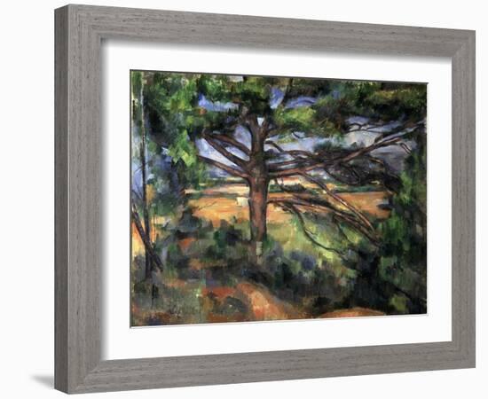 A Big Pine Tree Near Aix, 1895-1897-Paul Cézanne-Framed Giclee Print