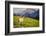 A Bighorn Sheep Pauses During Foraging on Logan Pass in Glacier National Park, Montana-Jason J. Hatfield-Framed Photographic Print