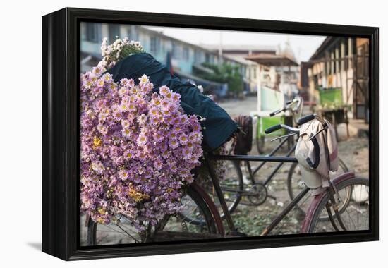 A bike loaded with fresh flowers at the flower market in Mandalay, Myanmar (Burma), Asia-Alex Treadway-Framed Premier Image Canvas