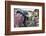 A bike loaded with fresh flowers at the flower market in Mandalay, Myanmar (Burma), Asia-Alex Treadway-Framed Photographic Print