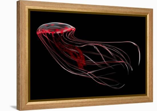 A Bioluminescent Red Jellyfish-null-Framed Stretched Canvas