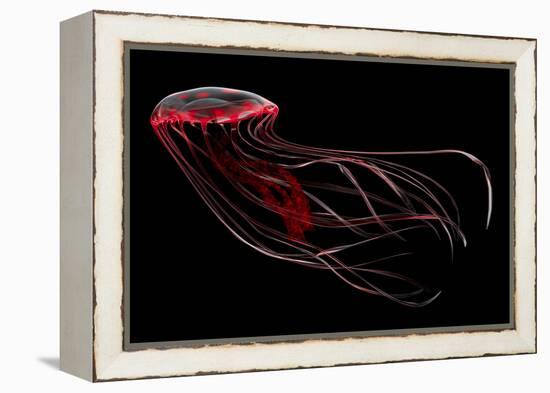 A Bioluminescent Red Jellyfish-null-Framed Stretched Canvas