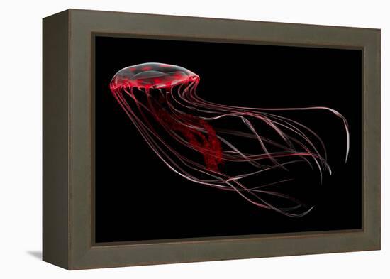 A Bioluminescent Red Jellyfish-null-Framed Stretched Canvas