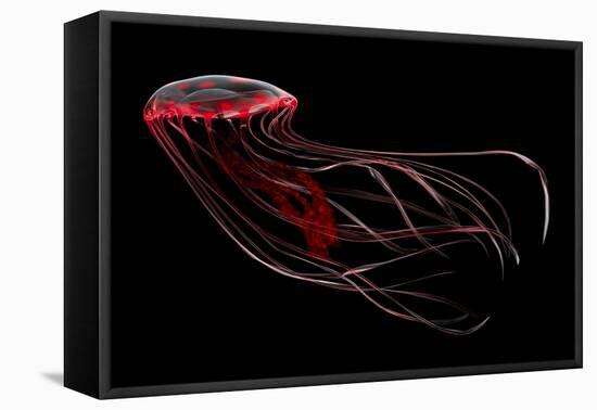 A Bioluminescent Red Jellyfish-null-Framed Stretched Canvas