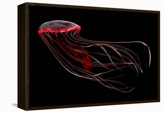 A Bioluminescent Red Jellyfish-null-Framed Stretched Canvas