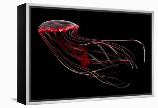 A Bioluminescent Red Jellyfish-null-Framed Stretched Canvas