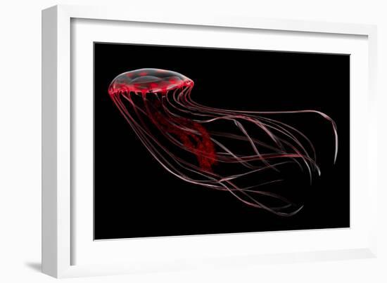 A Bioluminescent Red Jellyfish-null-Framed Premium Giclee Print