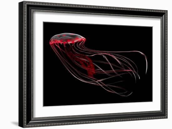 A Bioluminescent Red Jellyfish-null-Framed Premium Giclee Print