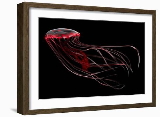 A Bioluminescent Red Jellyfish-null-Framed Art Print