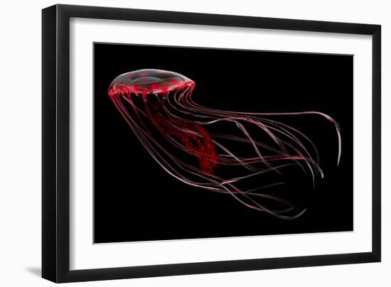 A Bioluminescent Red Jellyfish-null-Framed Art Print