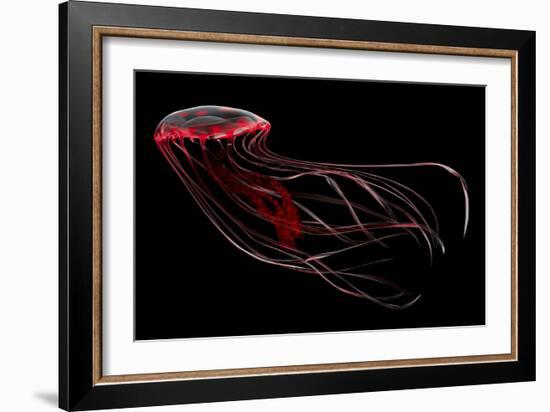 A Bioluminescent Red Jellyfish-null-Framed Art Print