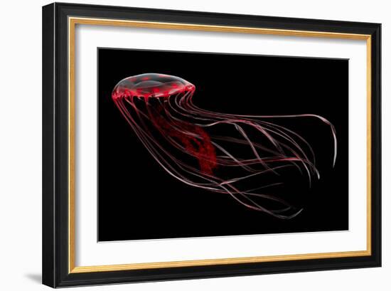 A Bioluminescent Red Jellyfish-null-Framed Art Print