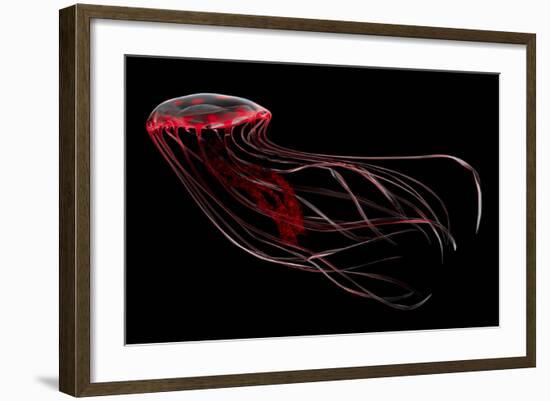 A Bioluminescent Red Jellyfish-null-Framed Art Print