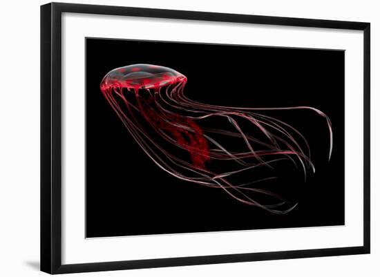 A Bioluminescent Red Jellyfish-null-Framed Art Print