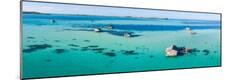 Premium Photographic Print