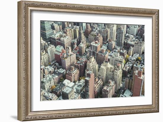 A Bird's Eye View-Irene Suchocki-Framed Giclee Print