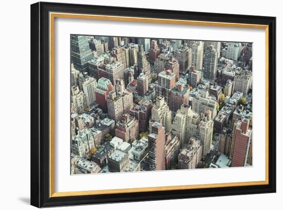 A Bird's Eye View-Irene Suchocki-Framed Giclee Print