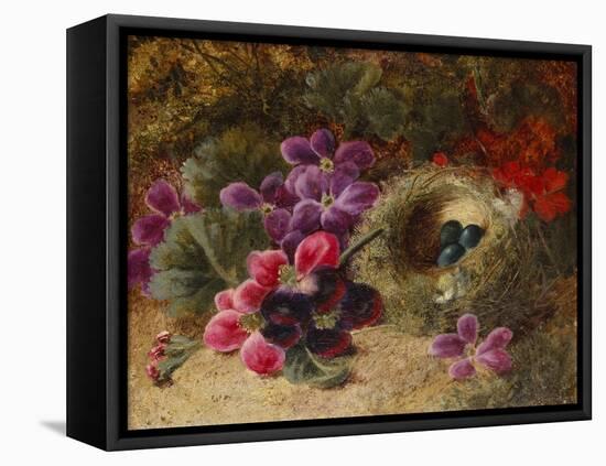 A Bird's Nest and Geraniums-Oliver Clare-Framed Premier Image Canvas