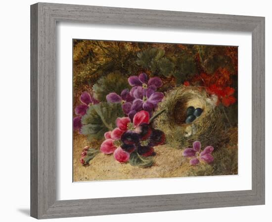 A Bird's Nest and Geraniums-Oliver Clare-Framed Giclee Print