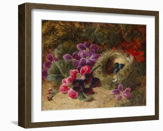 A Bird's Nest and Geraniums-Oliver Clare-Framed Giclee Print