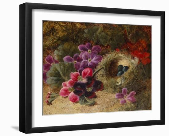 A Bird's Nest and Geraniums-Oliver Clare-Framed Giclee Print