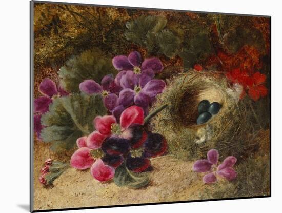 A Bird's Nest and Geraniums-Oliver Clare-Mounted Giclee Print